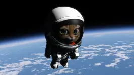 Генеральный директор Rocketwerkz утверждает, что будущее разработки игр лежит в использовании фреймворков, а не игровых движков.